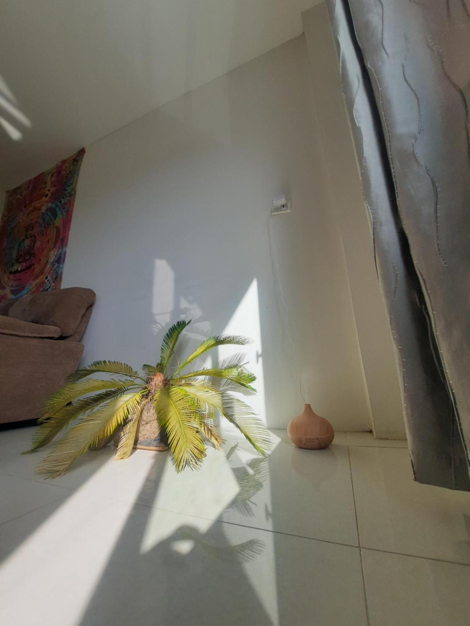Apartament Bula Bliss With Sunset View Nadi Zewnętrze zdjęcie